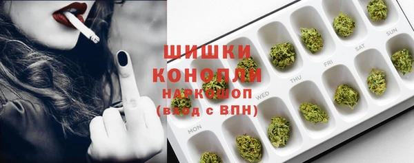 ешки Горняк