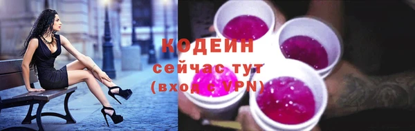 ешки Горняк