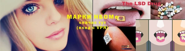 кокс Снежногорск