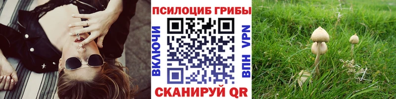 даркнет сайт  Дальнегорск  Галлюциногенные грибы мухоморы 